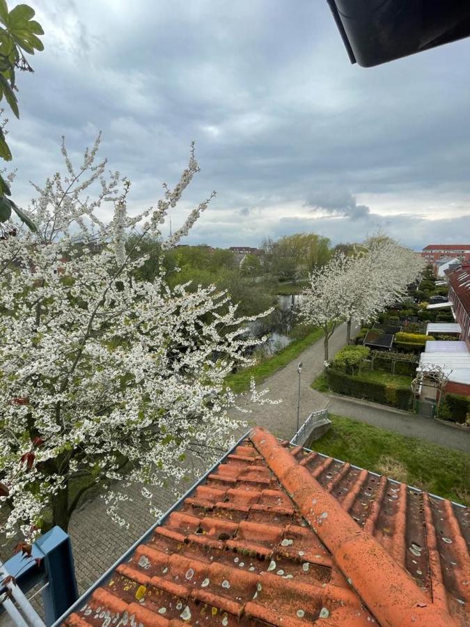 Grosszugige Wohnung In Findorff Bremen Eksteriør billede